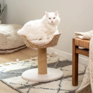 Barker Cat Scratching Post with Wicker Bed
